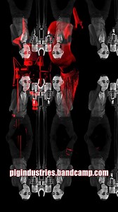 1K views · 39 reactions | From the PIG album Red Room. Order at pigindustries.bandcamp.com | PIG | Facebook