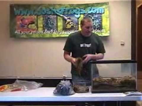 How to Set Up a Vivarium or Terrarium for Poison Dart Frogs