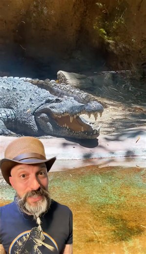 This was one of the coolest snakes I’ve ever seen!