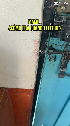 #CapCut La indiferencia mata , por favor, nunca pierdas la oportunidad de ayudar . Pd. No perdemos las esperanzas de tener el dinero para acondicionar un espacio para poder llevarnos a la muñeca y sus amigos al refugio , pero incluso en vistas tenemos muy pocas . Ayúdennos a que más personas nos conozcan y así podamos crecer 🙌🙏🥰