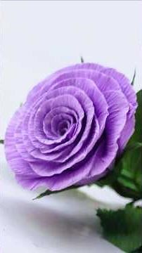 DIY Craft Ideas! How To Make Beautiful Flower With Crape Paper - Paper Flower