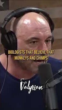 Orangutan Fishing with Spear #joerogan #shorts #jre