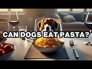 Can Dogs Eat Pasta? Explained