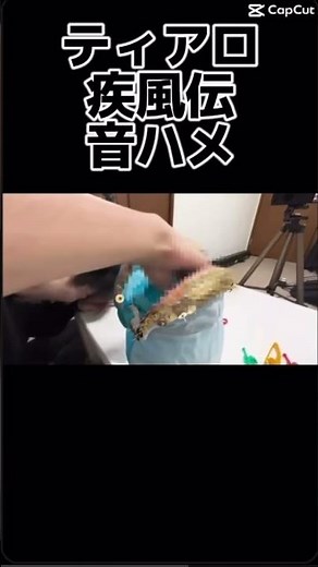 ティアロ疾風伝画びょうシリーズ音ハメ #ティアロ疾風伝