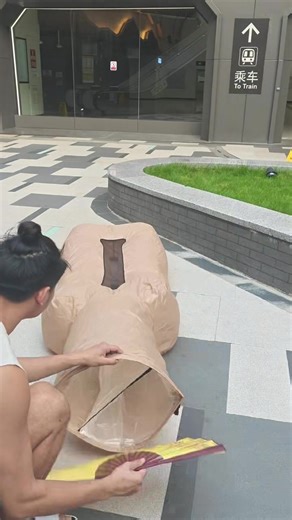 Transform Your Space with a Portable Magic Bed