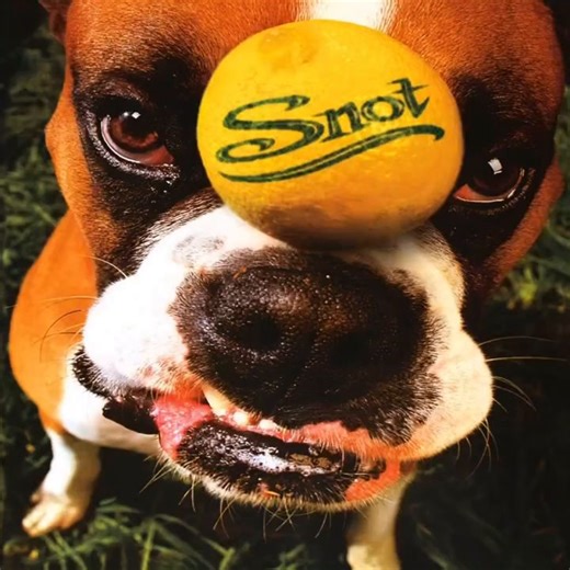 🍋 Snot released the nu-metal classic 'Get Some' on this day in 1997.⁠ RIP Lynn Strait and Dobbs. | REVOLVER Magazine