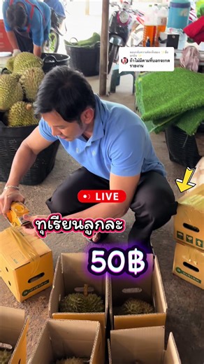 ตอบกลับ @✨ชื่อมุกมีน ✨ #ทุเรียนจันทบุรี #ทุเรียนจันทบุรี🤟❤️ #ทุเรียนใต้ #ทุเรียนหมอนทองจันทบุรี🌲💯ฝากติดตามด้วยค่ะ
