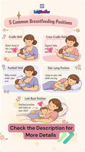 🍼 How to Breastfeed Correctly? 5 Best Breastfeeding Positions for New Moms | Latching Tips