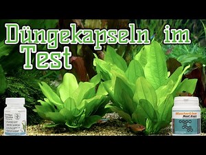 Düngekapseln für Wasserpflanzen im Test | Nährbodenersatz im Aquarium? | Masterline | Tropica