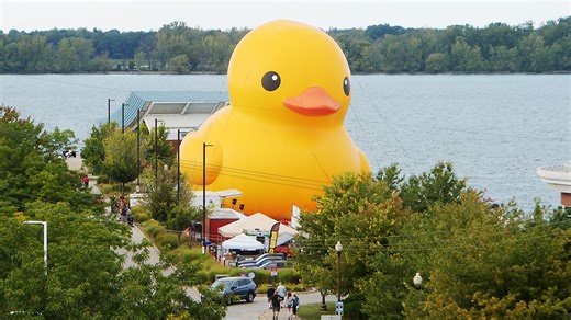 'World's Largest Rubber Duck' — and duckling — to return for 2025 Tall Ships festival