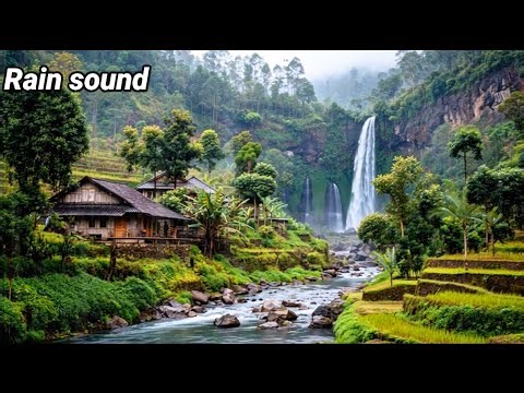 Gentle Rain Therapy for Stress-Free Living |Peaceful Rain Sounds to Heal Your Thoughts