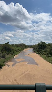 Kruger scenes. #Kruger #UntamedPlanet #naturereels #naturebrilliance #earthofficial #wildlifeplanet #SafariVibes #naturelovers #naturecinematography #wildlifephotography #MotherNatureMagic #krugernationalparksouthafrica #krugersafari #KNP | Forsyth Imagery