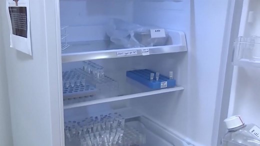 How Iceland tested the most people for COVID-19 per-capita in the world