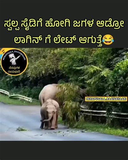 ನೆನಪುಗಳ ರಾಯಭಾರಿ on Instagram: "😂😂😂😂 Follow:@nenapugala_raayabhaari #kannada #Karnataka #kannadamaate #naadu #nudi hesru_hakalla_en_iga SM_INTROSPECTION iam_sundra😉 Copyright ©️ Under section 13 of the Copyright Act 1957, copyright protection is conferred on literary works, dramatic works, musical works, artistic works, cinematograph films and sound recording. For example, books, computer programs are protected under the Act as literary works. Kindly Please DM for credit and removal🙌🏻."