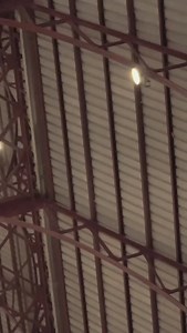 2.2K views · 4 comments | Eliminator 500 e Eliminator 500 SE. Acelere e sinta a diferença. #Kawasaki #Eliminator500SE #Custom Cruiser EstiloCustom Pilotagem | Kawasaki Motores do Brasil | Facebook