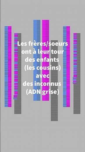 Consanguinité entre cousins