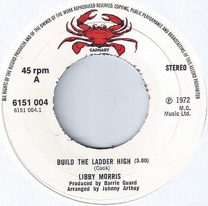 Libby Morris - Build The Ladder High