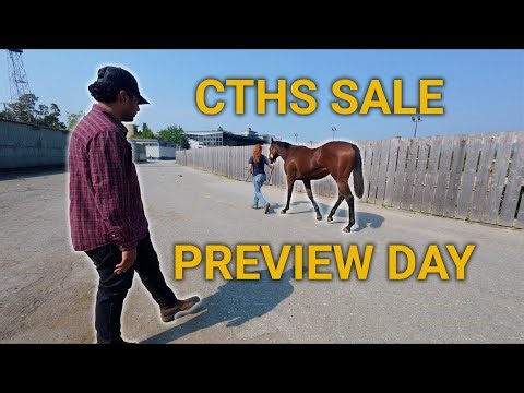 CTHS Sale 2025 - Day 1 (Preview Day)