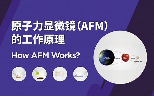 原子力显微镜（AFM）的工作原理