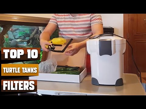 Best Filters For Turtle Tanks in 2024 (Top 10 Picks)