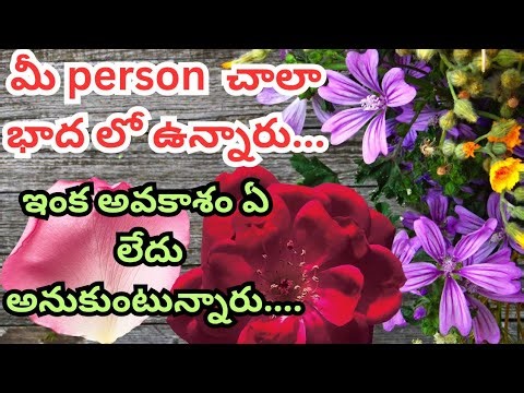 😭మీ person చాలా బాధలో ఉన్నారు.. ఇంక అవకాశామే లేదు అనుకుంటున్నారు.. Tarot | telugu | love |relation
