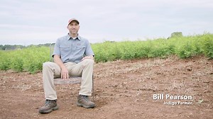 We're dyeing our new Workwear denim with natural indigo grown by family farmers in Tennessee. http://pat.ag/WorkwearF18 | Patagonia