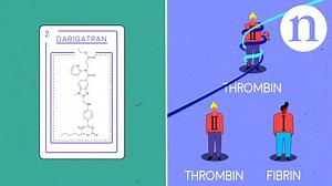 43K views · 977 reactions | Blood clots help to prevent bleeding, but...