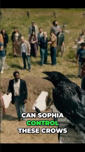 The Crows Explained