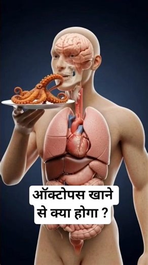 What Happens If Humans Eat Octopus? | Human Body Explained