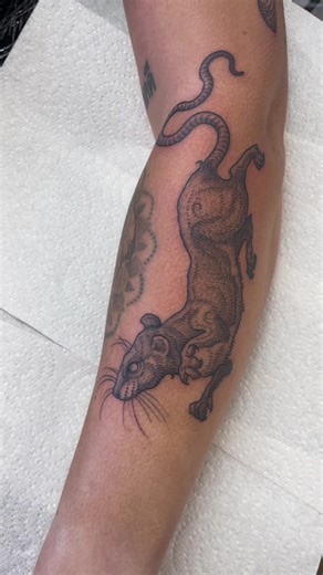 Rat Tattoo: Artistic Expression on Skin