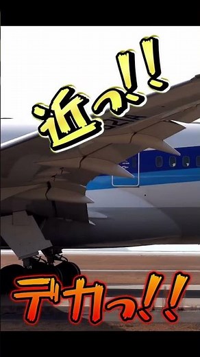 [飛行機動画] 大迫力のBoeing787✈️広島空港#shorts