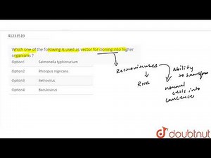 Which one of the following is used as vector for cloning into higher organisms ?