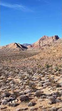 Wandering the Mojave Desert on a Desolate Dirt Road in Arizona