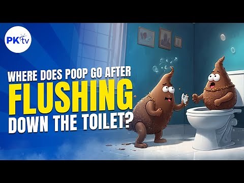 Where Does Poop Go After Flushing Down the Toilet | Poop Knowledge TV