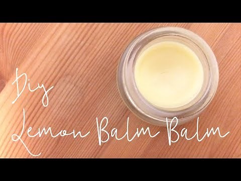 DIY Lemon Balm Balm :)