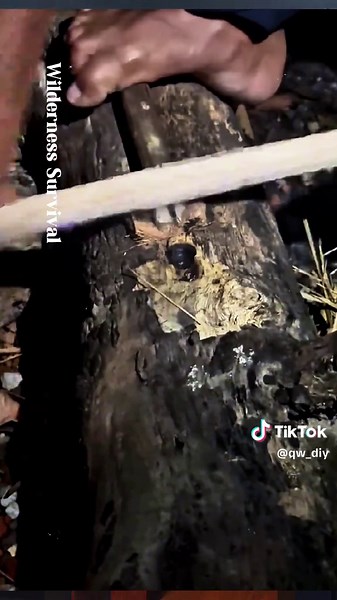 Creative DIY Handmade Projects for Everyone