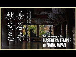 【奈良／日本遺産】長谷寺秋景色 - Autumn scenery of the Hasedera Temple in NARA, JAPAN - 4K