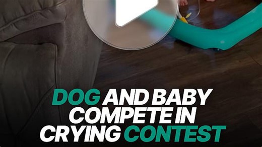 Dog and baby compete in crying contest