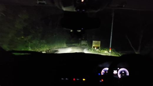 17K views · 170 reactions | Night drive | Jim Corbett Wildlife & Nature View | Facebook