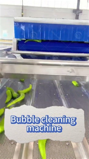 Bubble Washing Machine for Vegetable & Fruit Processing Line