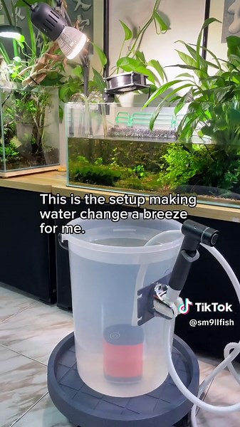 Aquarium water change hack! 🤩🤫 This setup works wonders for people like me who have multiple nano tanks. Or a jungle of indoor plants where you can use to water the plants. And hey, if you're not a fan of long water hoses, this is perfect for you too. With no wires to worry about, it's easy to reposition and push around. Makes maintenance for my aquariums so much easier! #fyp #aquarium #waterchange #maintenance #multipletanksyndrome