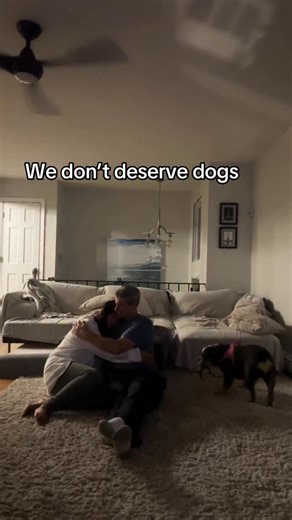 I was trying to film something and I had breakdown. Our grieving journey is been hard … 🤍 I wasn’t sure to share this but I wanted to show everyone how Lexi is. She is such an empath. She very sensitive and reactive to dogs but she’s the most empathic dog we ever have. The girls helping us heal . We don’t deserve dogs 🥹 . Plz fostered or donate shelters and rescues. Almost all the rescues and shelters are overwhelmed with animals and lack of fundings . #bulldog #bulldoglovers #dogparents #dogs