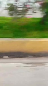 Me enviaron este video de un perrito atropellado ayer en el óvalo que está a dos cuadras del aeropuerto de Ayacucho. No se sabe si el perrito aún estaba con vida cuando fue abandonado en la cuneta. La persona que grabó el video no se acercó a ver el estado del animal, porque dice que le dio miedo, sólo vio que la cobradora de la ruta se bajó del carro para jalar al perro y dejarlo en la cuneta. Se ve que hay varias personas dentro del carro a quienes no les importó nada y continuaron su viaje. N