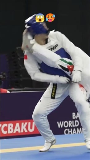 Taekwondo: The Art of Insane Knockouts