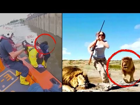 These Animals Got Revenge