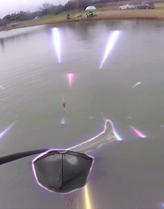 1.3K views · 56 reactions | Buona domenica con la raccolta di emozioni che questo primo mese dell'anno ci ha regalato  Asso Fishing Line LAGO CEDRI | Fishing Passion & Feeder | Facebook