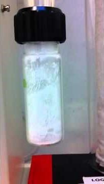 Buchi Mini Spray Dryer B-290