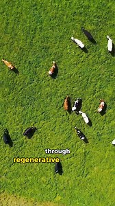 Soil isn't just the lifeblood of plants – it's the very future of our planet. 🌍 Farmers strive for sustainability by reducing crop inputs, improving yield quality, and enhancing soil biodiversity through regenerative agriculture practices. While soil monitoring can be costly, gamma rays are now stepping in to provide essential soil information. 🧑‍🌾 INTERRA® Scan, our new soil health monitoring technology, utilizes sensors mounted on equipment to extract information from gamma rays across the 
