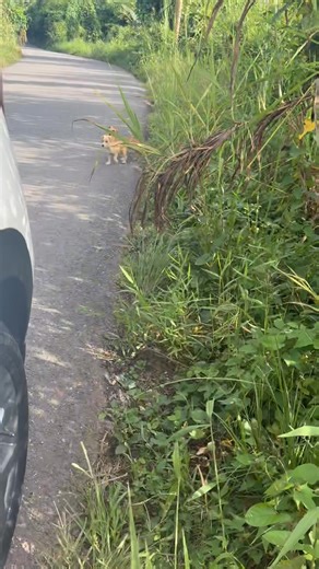 911 🚨🚨🚨 Moca | Jessica Hernandez