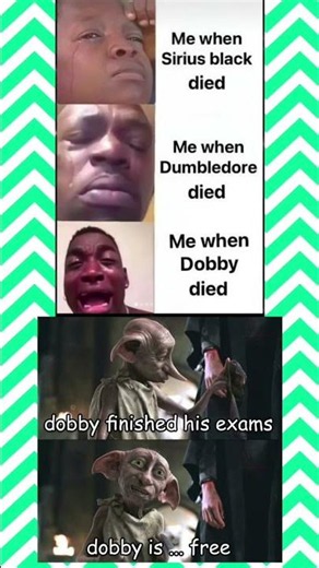 Harry Potter Goodbye: Why Dobby’s Death Hit Harder Than Everyone Else 😭⚡ #memes #shorts #harrypotter